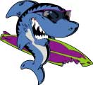 FlipShark Coolsite Award