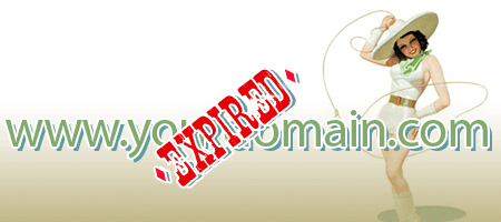 Harnessing The Power Of Expired Domain Names