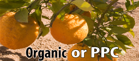 Organic SEO and Low Hanging Fruit or PPC, Which is Better?