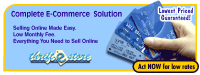 Accept Credit Cards Online for Only $19.95 per Month!