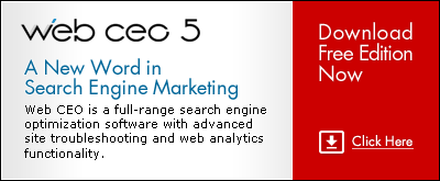 SEO, Traffic Analysis and Web Maintenance in One Powerful Tool!