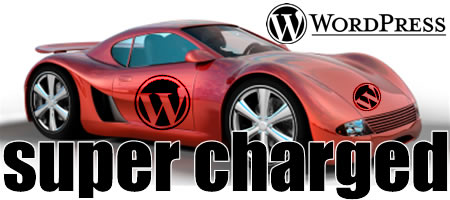 20 Practical SEO Tips to Super-Charge Your WordPress Blog!