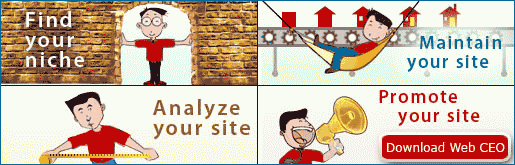 Maintain, Analyze and Promote Your Site!
