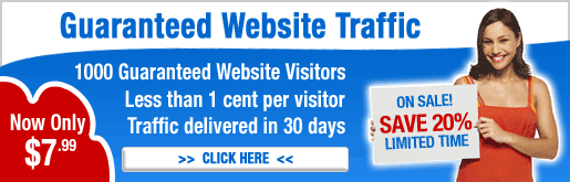 1000 Visitors to Your Site!