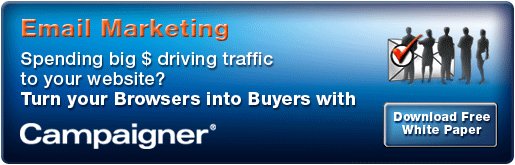Turn Your Browsers Into Buyers!
