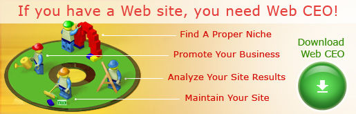 If You Have a Web site, You Need Web CEO!