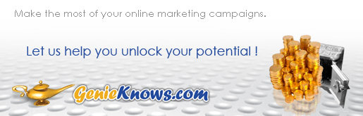 Make the Most of Your Online Marketing Campaigns!