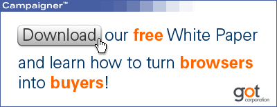 Free White Paper - Learn How to Turn Browsers into Buyers!