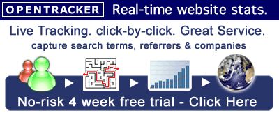 Real-Time Website Stats - Fr&euml;e 4 Week Test Drive !