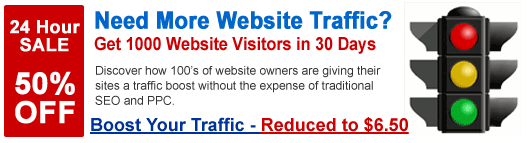 Get 1000 Visitors in 30 Days!