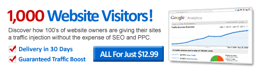 1,000 Website Visitors in 30 Days