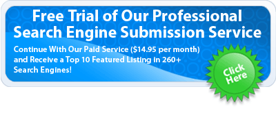 Professional Search Engine Submission Service!