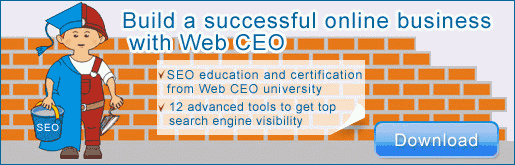 Build a Successful Online Business with Web CEO!