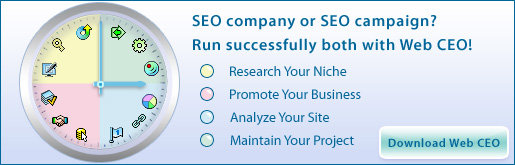 SEO Company or SEO Campaign? Run Both Successfully with Web CEO!