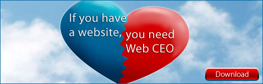 If You Have a Website, You Need Web CEO!