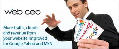 More Traffic, Clients and Revenue for Your Website!