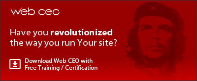Revolutionize the Way You Run Your Site - Download Web CEO!
