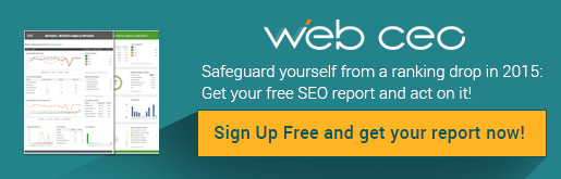 Safeguard Yourself From a Ranking Drop in 2015.