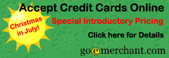 Accept Cred&iacute;t Cards Online - Special Introductory Pricing!