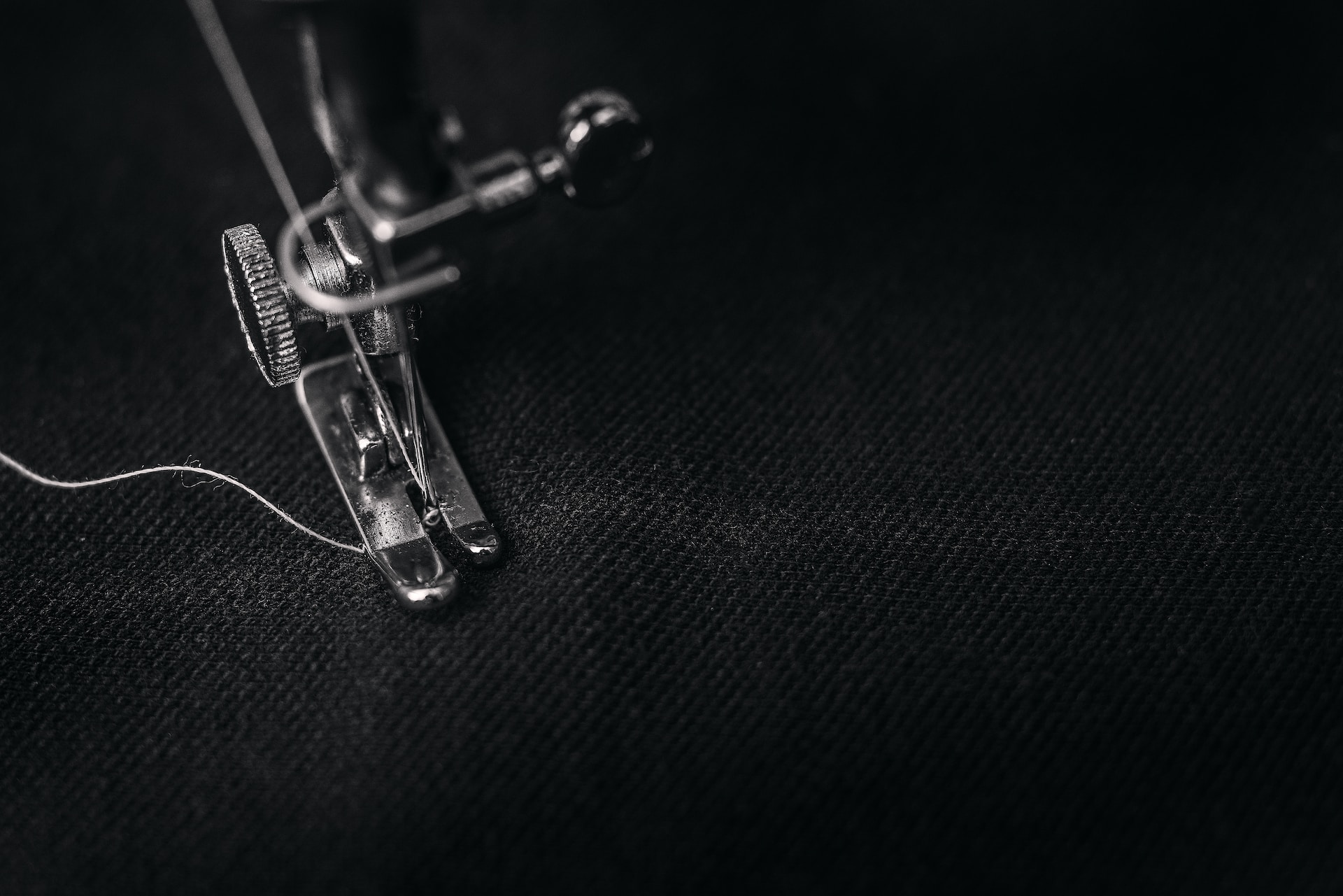 alexander-andrews-jNKv4QohAk0-unsplash