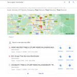 Laser focused Tactics to Dominate Local SEO Searches